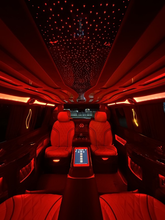 Diyarbakır VIP Taşımacılık VIP Araç 2